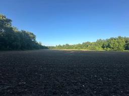 10405961-38