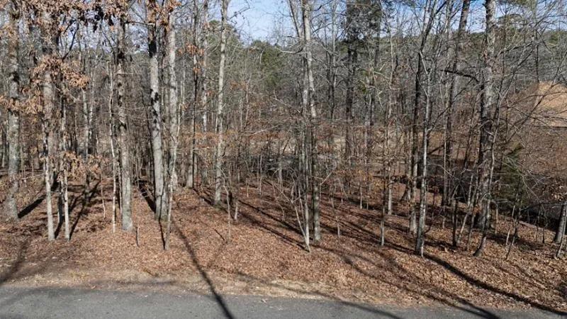  Prime 0.30-Acre Residential Lot on Cul-De-Sac in Hot Springs Village, AR 