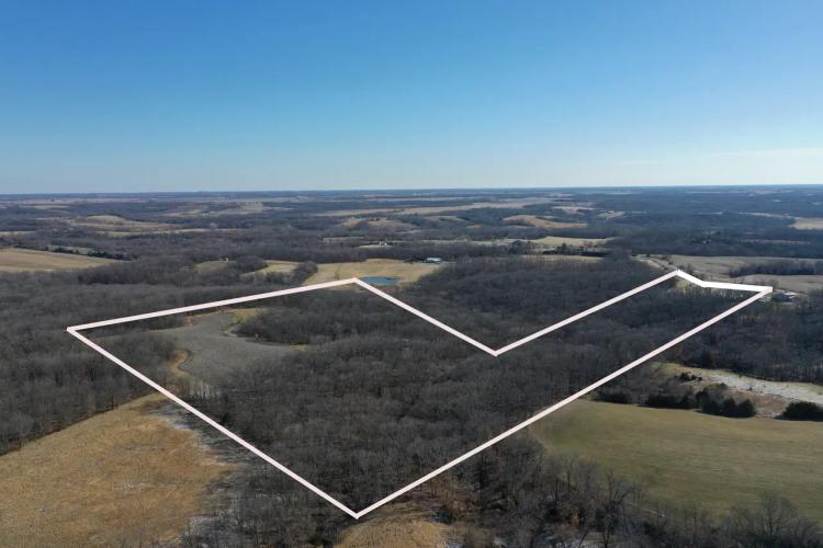 55 acres m/l - Van Buren County