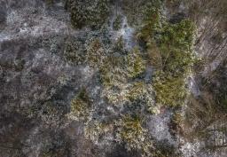 10455329-7