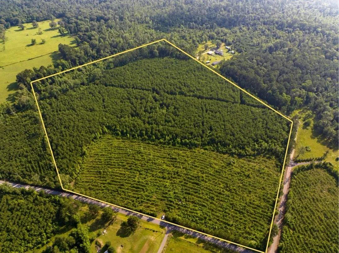48 Acres of Land for Sale in Pitkin, Louisiana