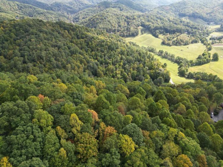 3.18 Acres at 0 Cut Laurel LN