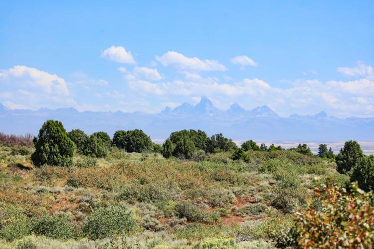 Ashton Ranch