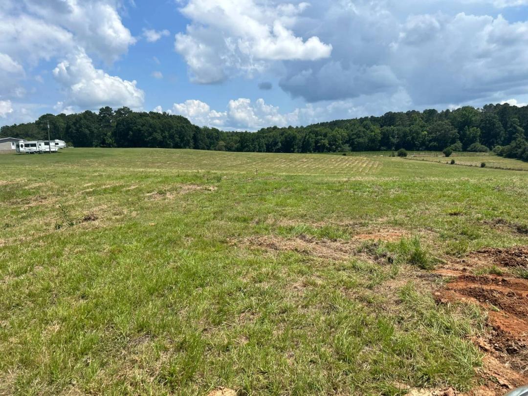 Mcnulty Lot 5 Acres On County Road 2276