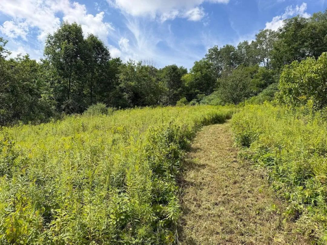 7 acres Recreational Land and Building Site with Fruit Trees and Views in South Dayton NY Dye Road
