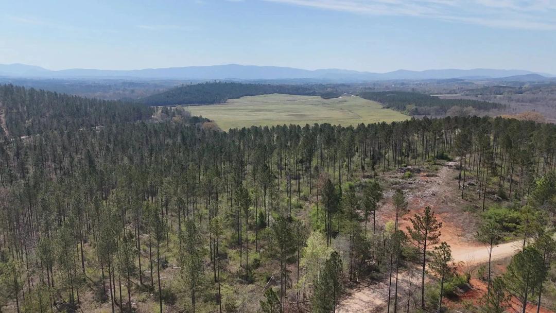 Gleneagles Tract 11