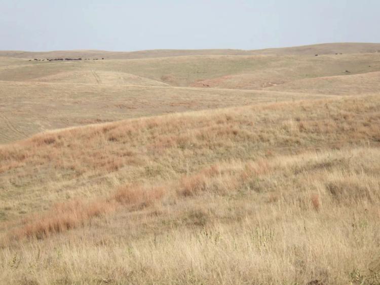JK Land Rangeland Parcel #2