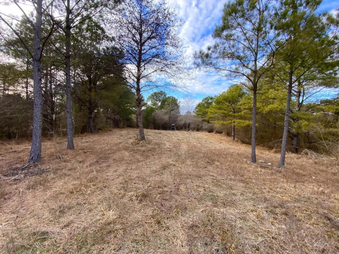 120.00 Acres at 0 Co. Rd. 9
