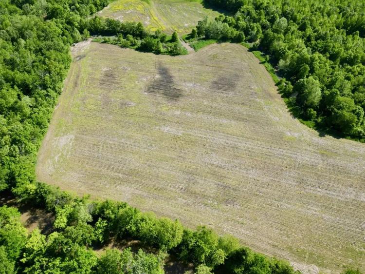 70 acres in Saline Co.