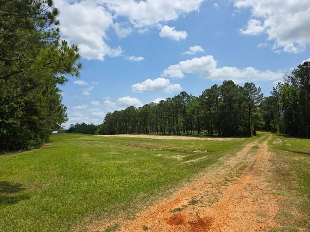Rembert Hills Recreational Tract |126 Acres| Marengo County AL