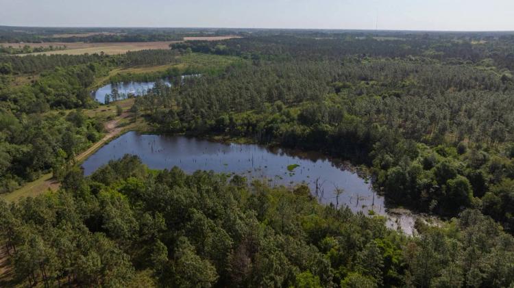 195+/- Total Acres - Premium Recreational Tract