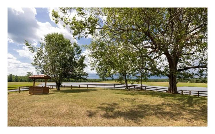 Plum Creek Farms East