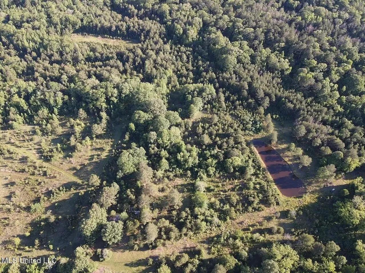 10654732-17