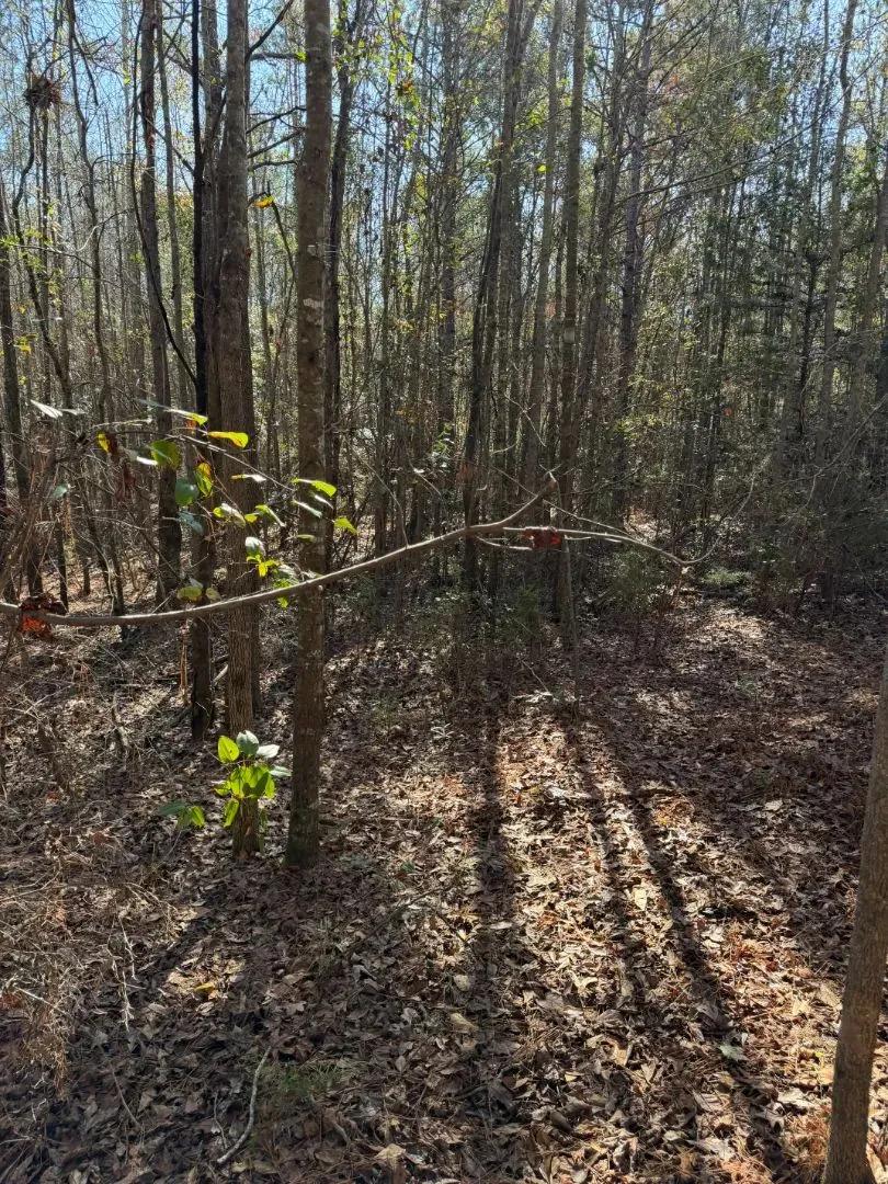 6.2 Acres in Crenshaw County, AL 