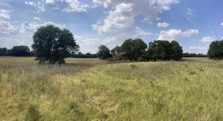 4.44 Acres, Jones County (Lot 6)