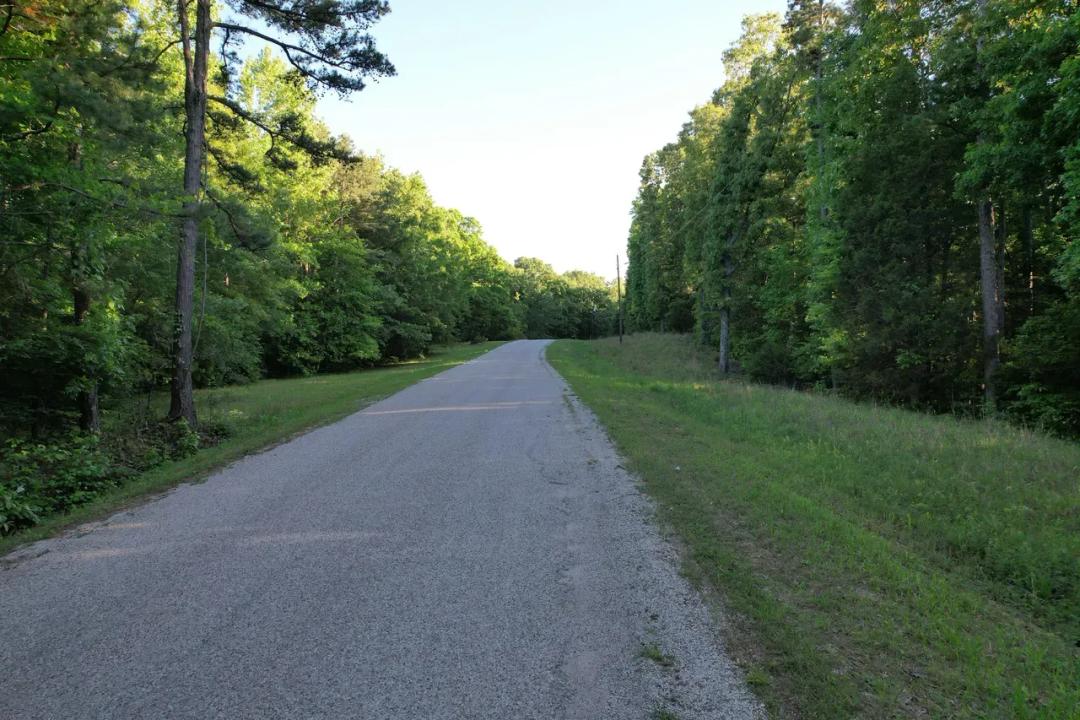 Bear Creek Road 56