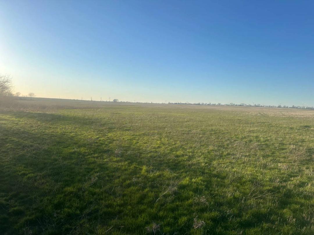 160.00 Acres at 2 miles West Peckham Rd.