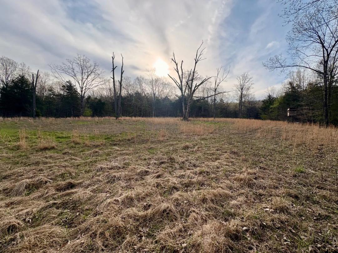 Land for sale in Northeast Arkansas