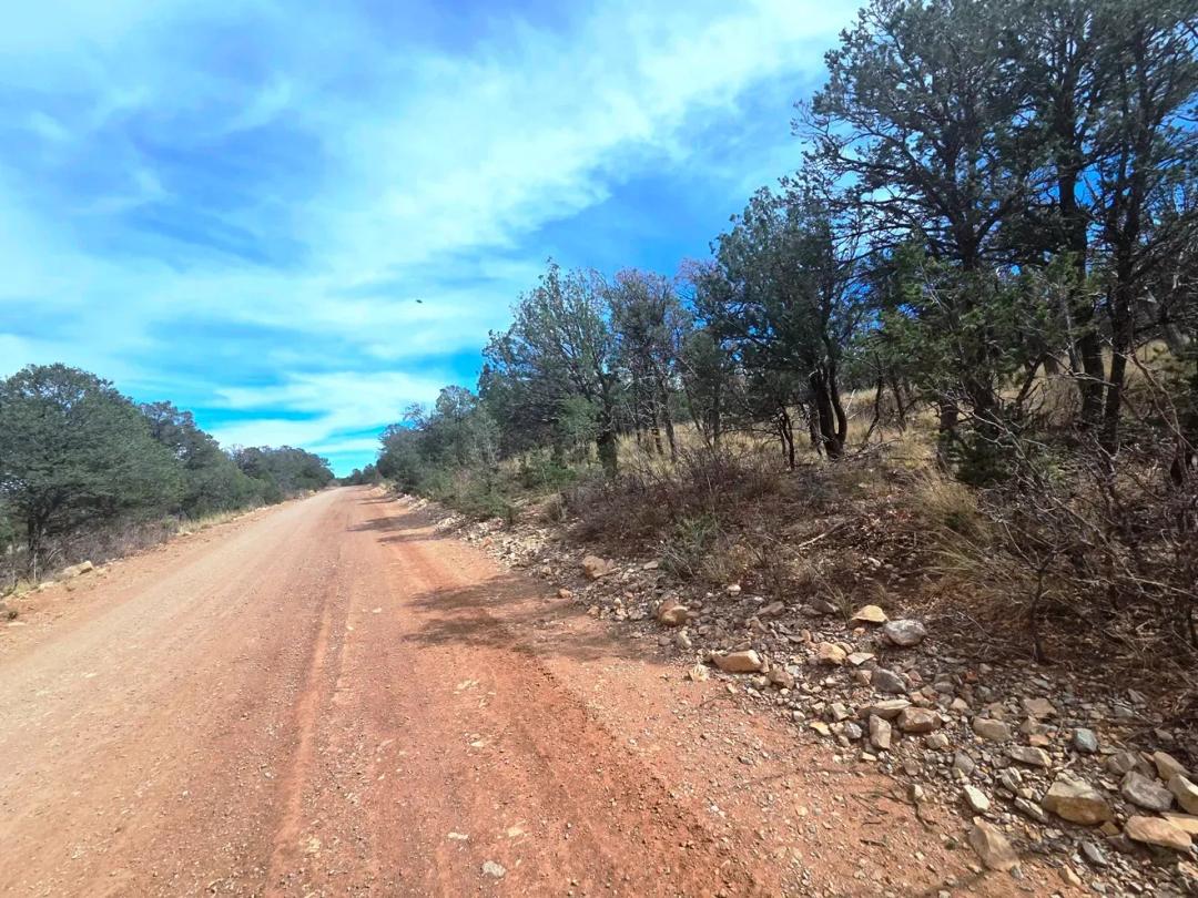Southern Timberon - Over an Acre - Good Road - Water Available