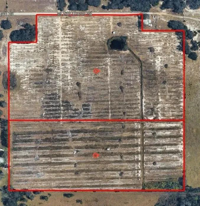 38± Acre Frostproof Grove | Residential Development or Agricultural Opportunity