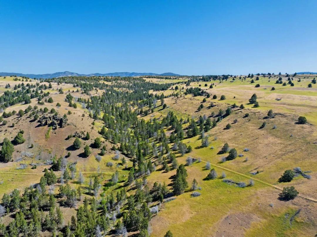 The John Day Ranch