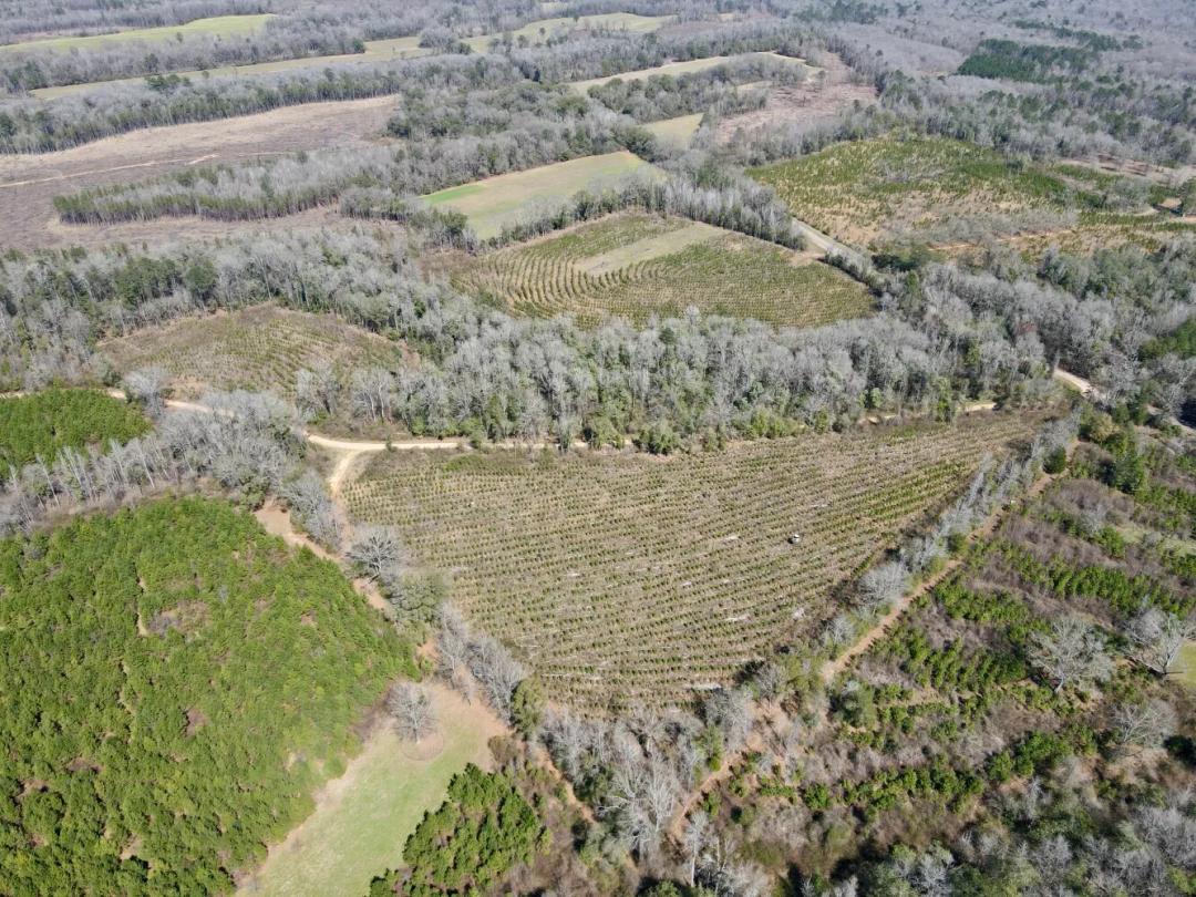 36.99 Acres at 0 Co Rd 13