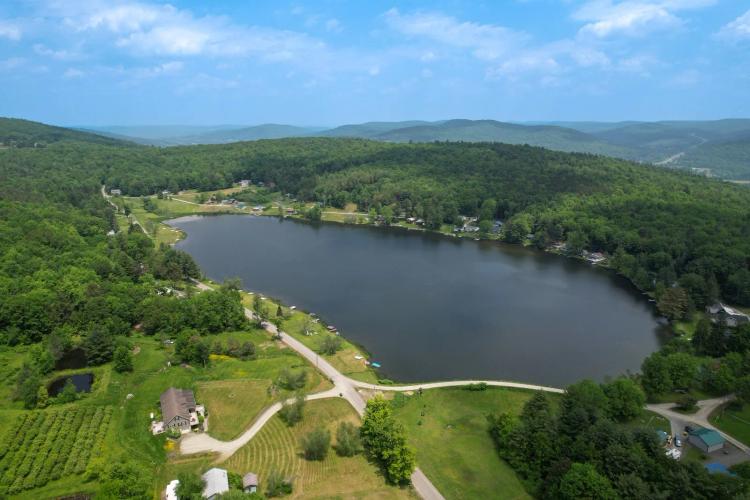 White Birch Lake 31 Acres