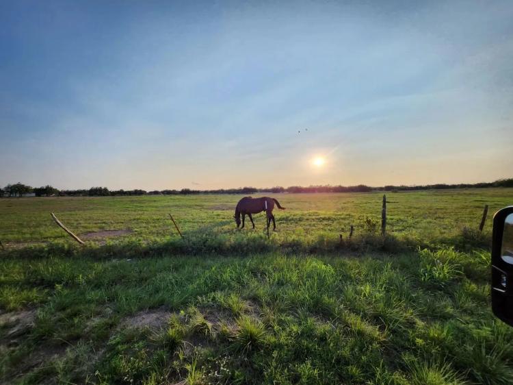 Central Texas Cattle and Hunting Ranch near San Angelo
