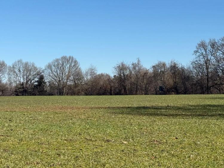 50+/- Acres- The Honey Hole, hunting with development potential
