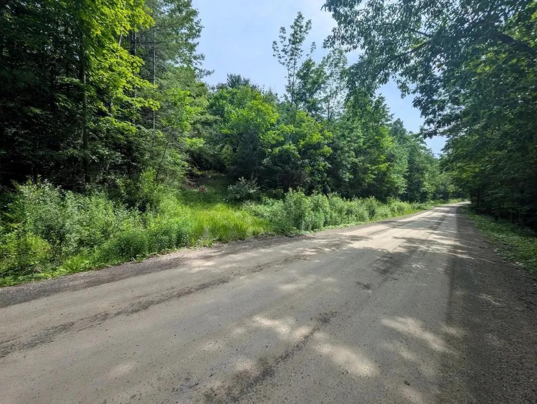 12 acres Wooded Recreational Land near Stony Brook State Park in Dansville NY Keifer Hollow Rd