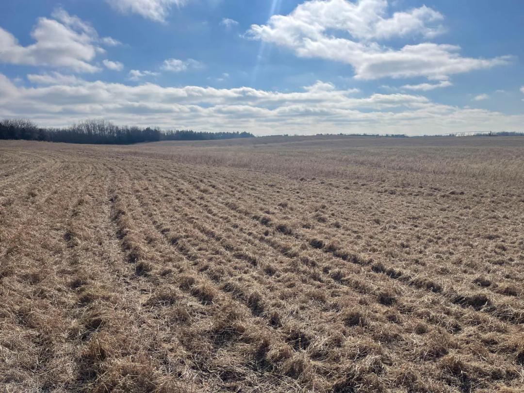 Mason County, Illinois 122 Acres For Sale