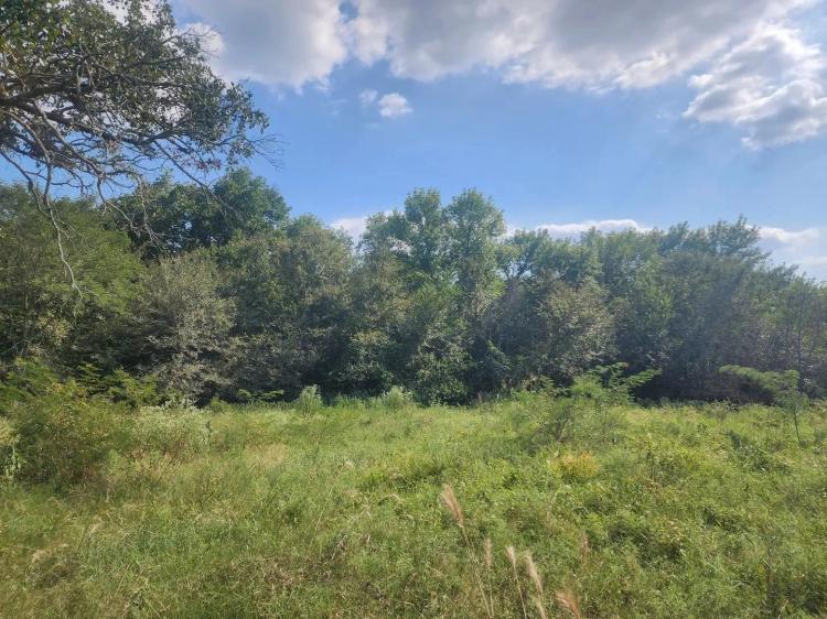 Hwy 271 Acreage