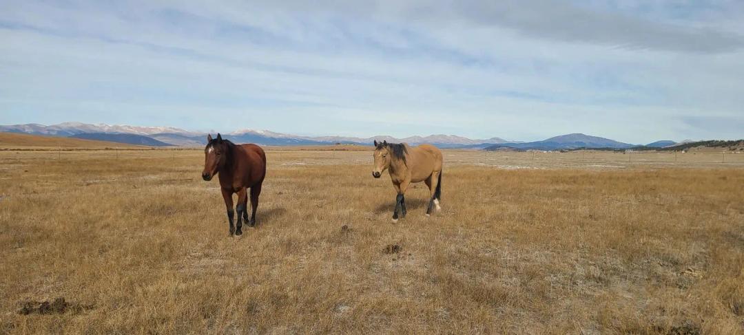 Paradise View Ranch