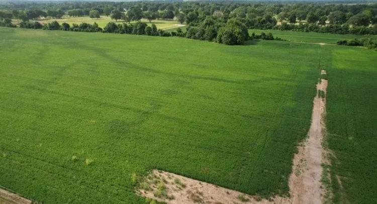 10.69 Acres in Washington County in Greenville, MS 