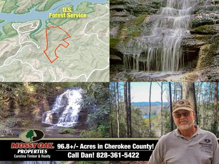 96.85+/- Lakefront Acres, Unrestricted, USFS Boundary, RV Tiny Homes Animals all OK