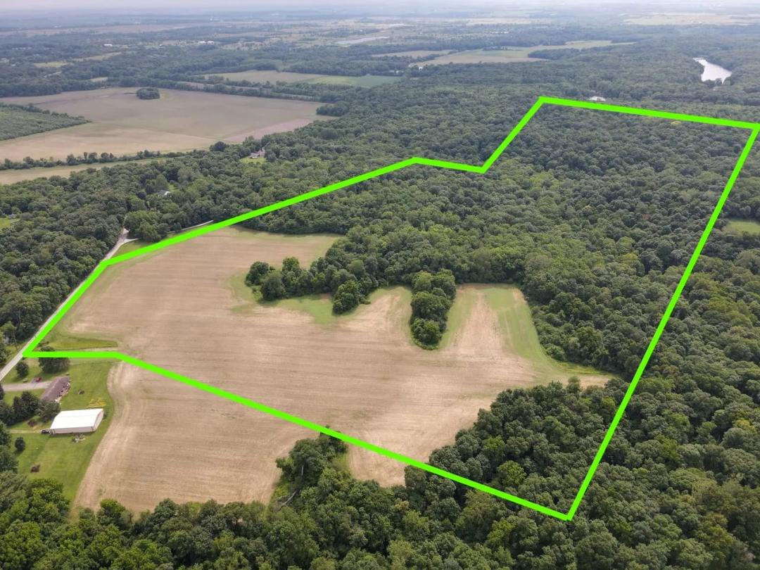 Hazel Bluff Ridge Farm