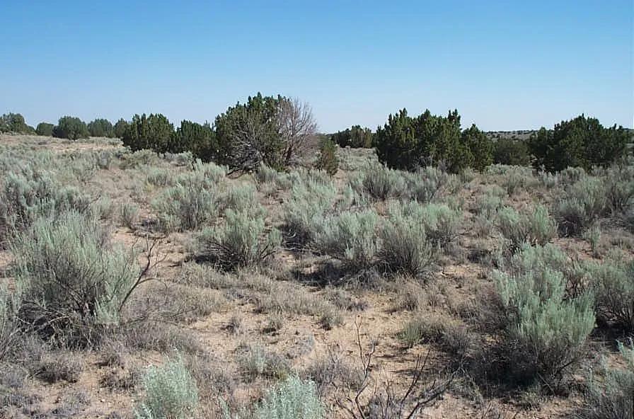 Expanding suburbs of Rio Rancho New Mexico. Developing Aea