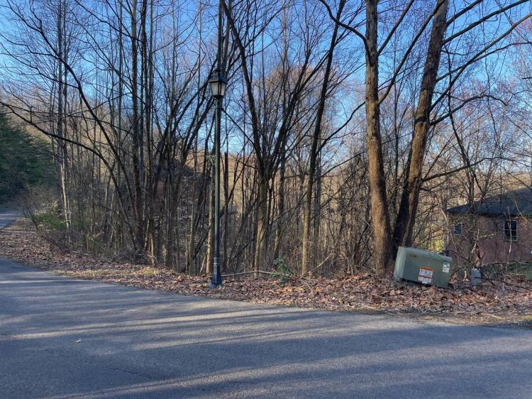 Unimproved Subdivision Lot