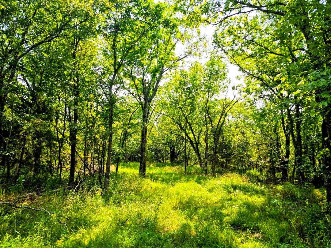 Your very own escape in Beautiful Kiamichi Valley