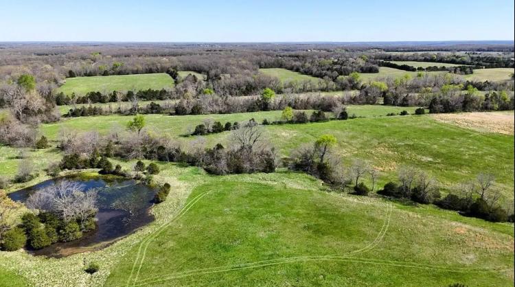 Open Pasture And Timber Tract For Sale Near Marshfield