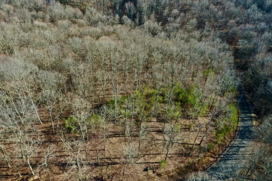 Private Gated lot at Kentucky Lake