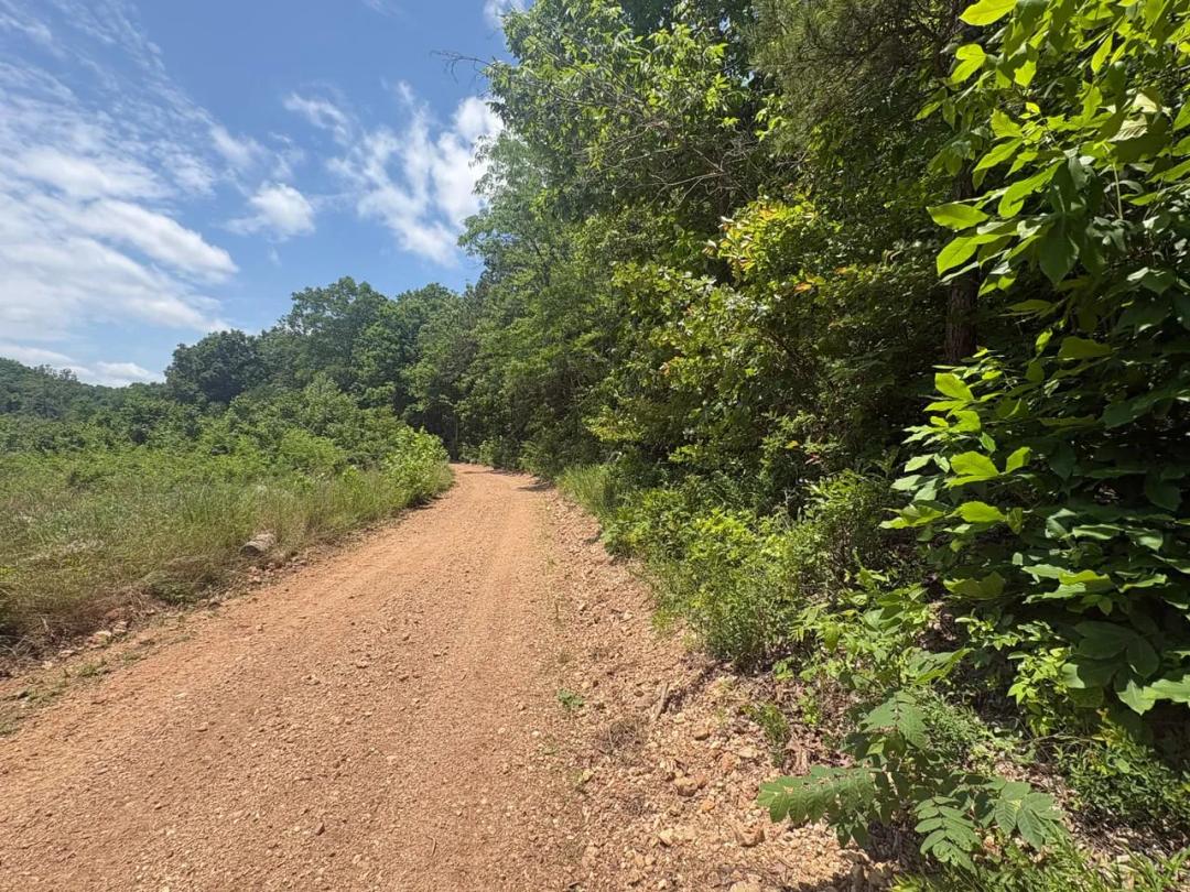 80±AC of Prime Hunting Land in Reynolds Co.
