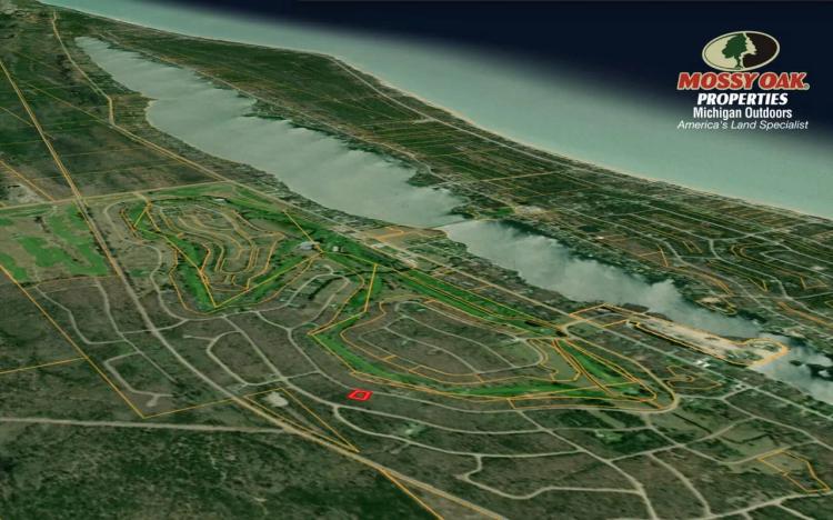 Affordable Northern Michigan Retreat / Lakewood Shores Golf Resort Lot / Land For Sale
