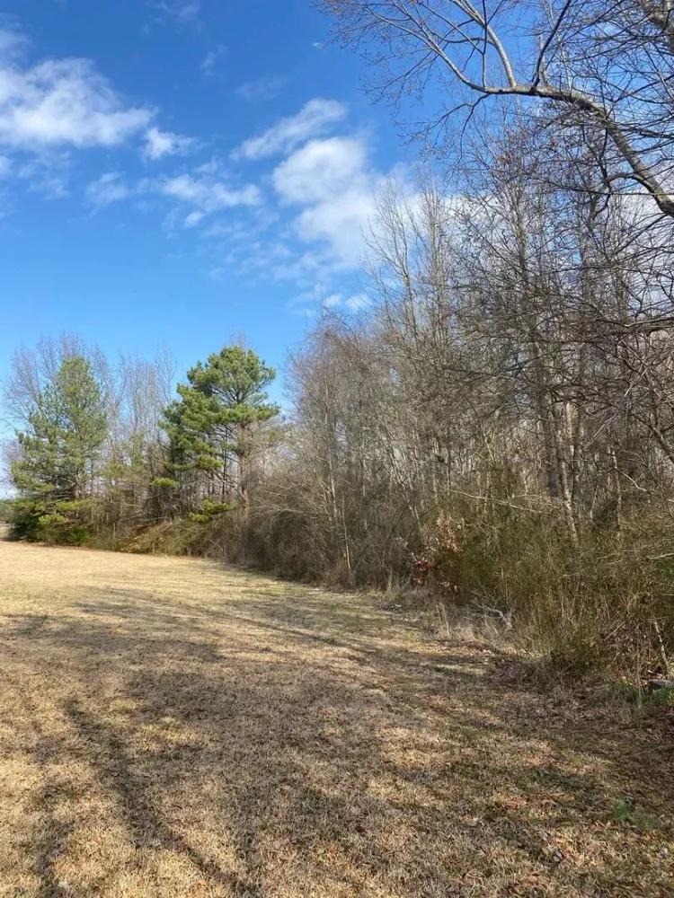 Union Grove/Thurman Rd 10 Acres
