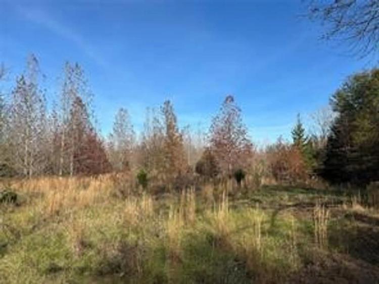 Tract A County Road 1412 Bogata, TX 75426