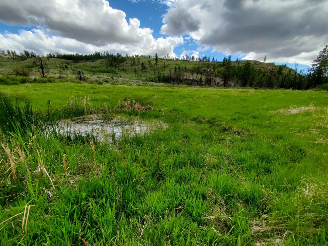 Figlenski Springs Ranch