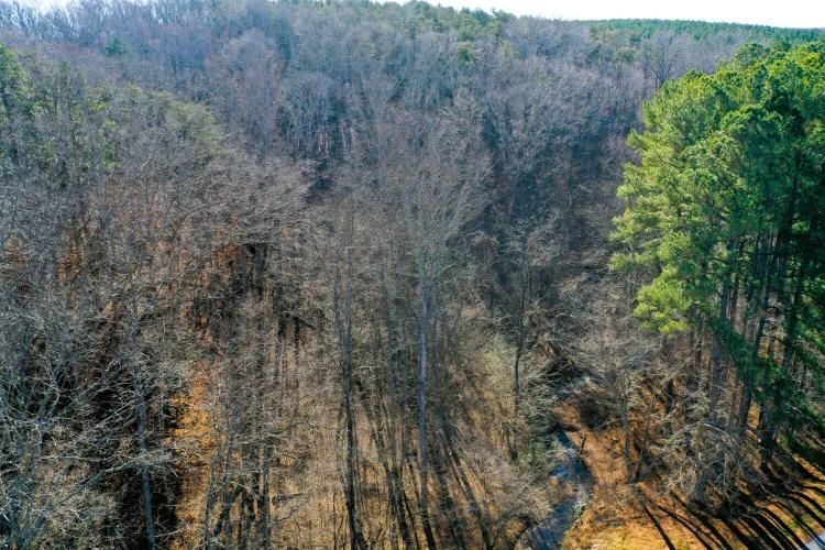 13.00 Acres at 0 Sugar Barbour Road