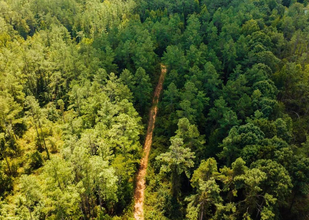 320 Acres in Lafayette County, MS 