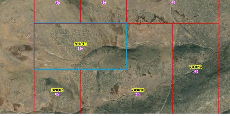 20 acres of Nevada Mountain Land - Shoshone Range - Crescent Valley Area