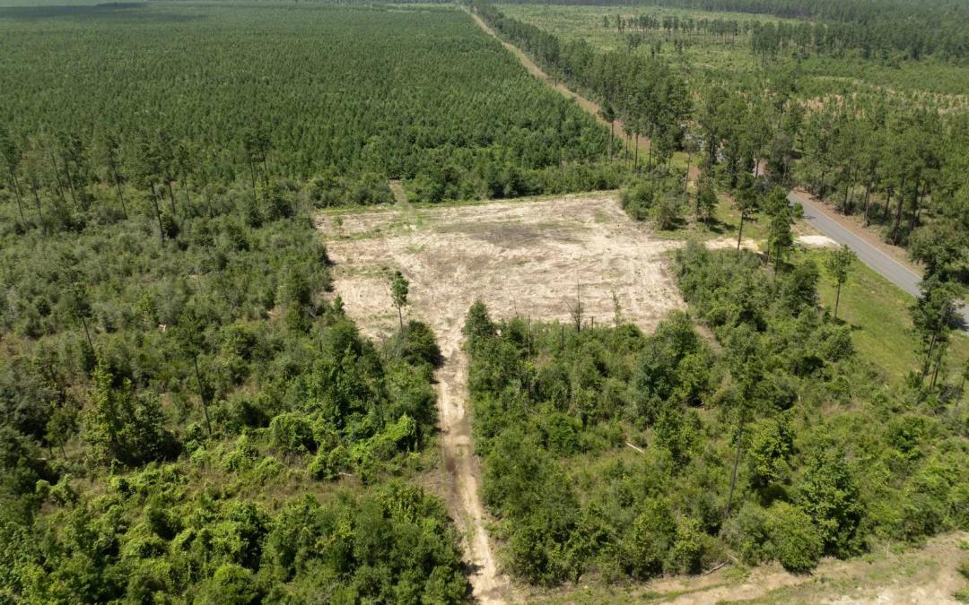 Evergreen Trace - Lot #1